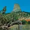 Devils Tower